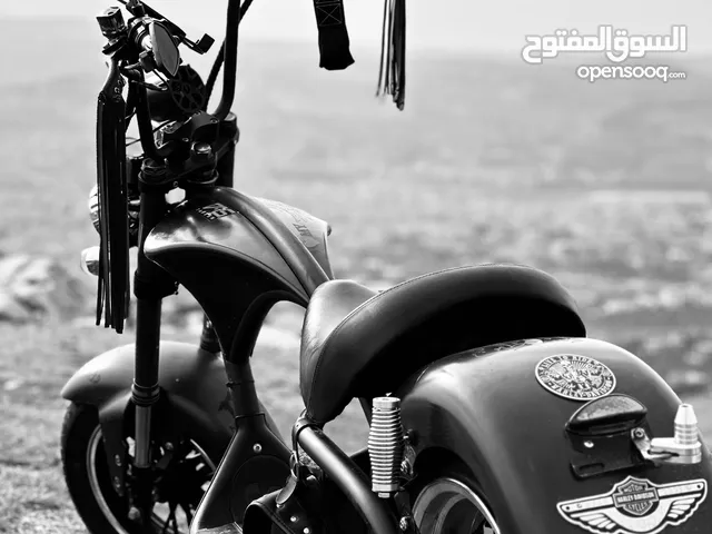 دراجه هارلي كهرباء السعر قابل لتفاوض اسال عن الدراجه بكل مكان رح تعرف انو هيك سعرها