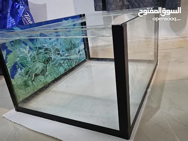 fish aquarium glass only for sale