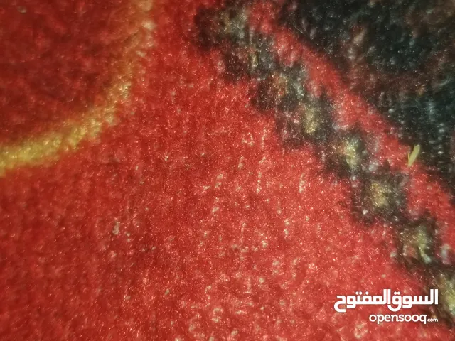 مٌطِلُوَبّ دِجْاجْ بّلُدِيَ بّيَاضُ