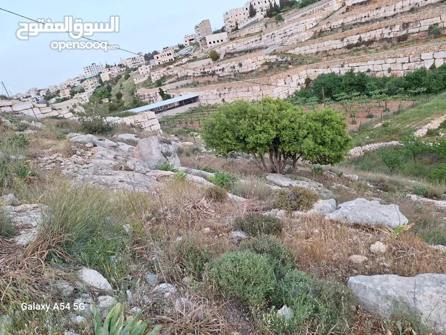 قطعة ارض للبيع في مدينة الخليل في منطقة فرش الهوى - بئر عركة