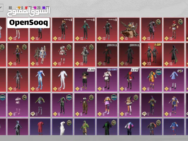Pubg Accounts and Characters for Sale in Amman