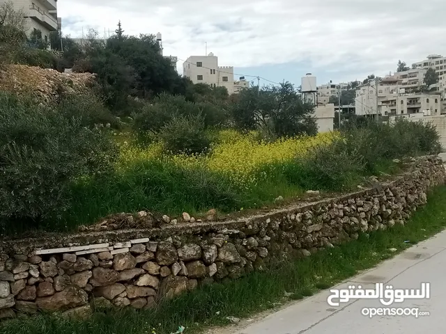 Mixed Use Land for Sale in Bethlehem Beit Fajar