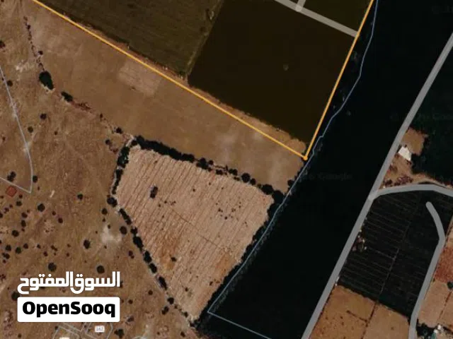 Farm Land for Sale in Al Batinah Al Masnaah
