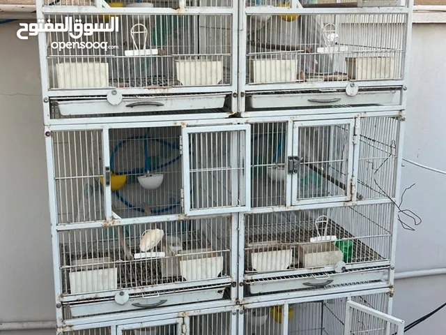 للبيع فقص حديد ست تقاسيم يصلح لجميع أنواع الطيور والحيونات