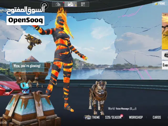 Pubg Accounts and Characters for Sale in Beirut