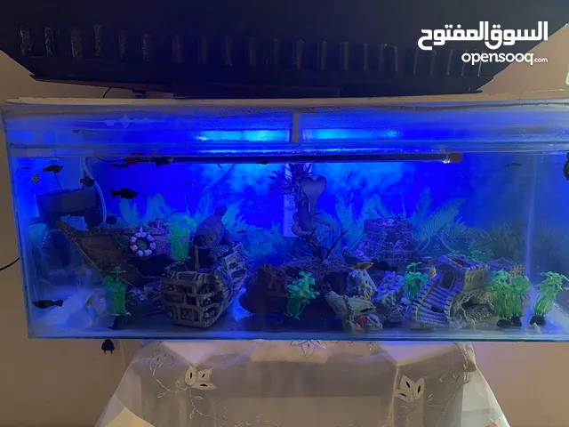 حواض سمك للبيع