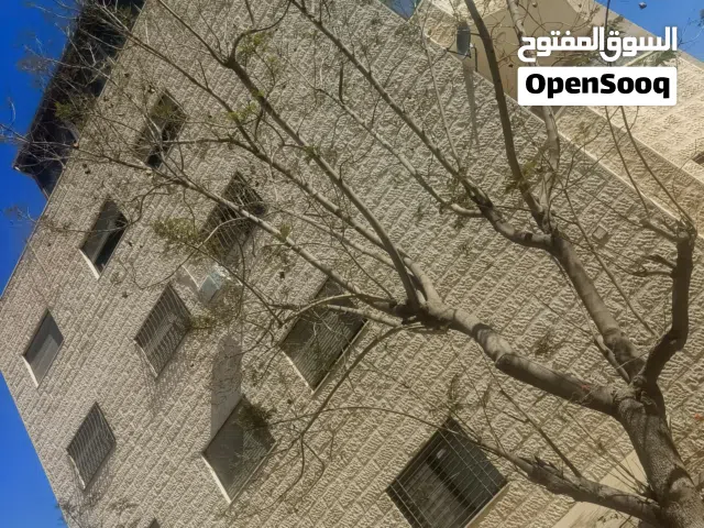 شقة طابق 3 مع روف
