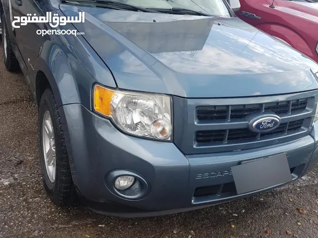 Used Ford Escape in Irbid