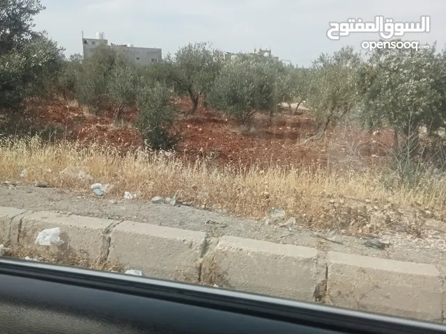 ارض سكنيه فيه حواره مفروزه للبييع