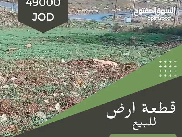 ارض للبيع من المالك مباشرة ، ايدون - ماصية قرن الجاموس خلف مدرسة حفصة بنت عمر الأساسية المختلطة