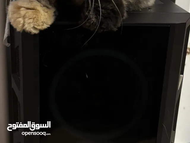 RTX 3060 بيسي