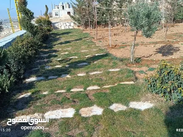 Mixed Use Land for Rent in Baalbek Other