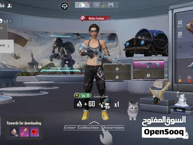 Pubg Accounts and Characters for Sale in Irbid