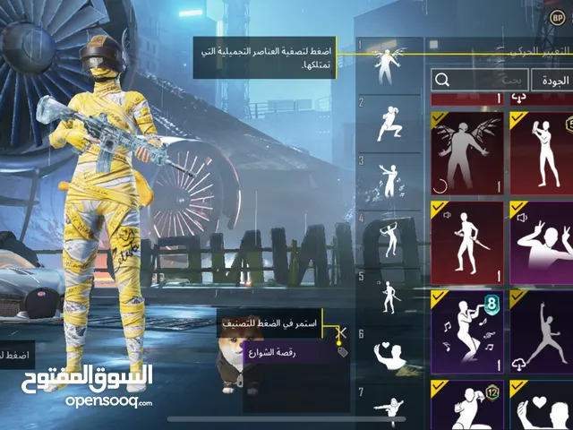 Pubg Accounts and Characters for Sale in Irbid
