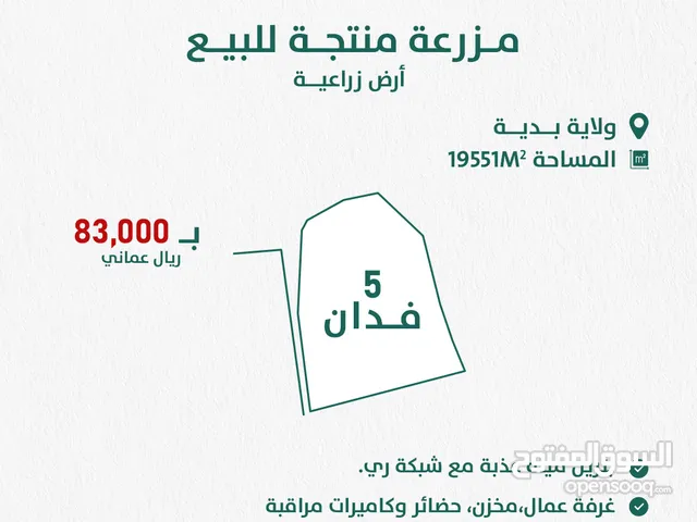 Farm Land for Sale in Al Sharqiya Bidiya