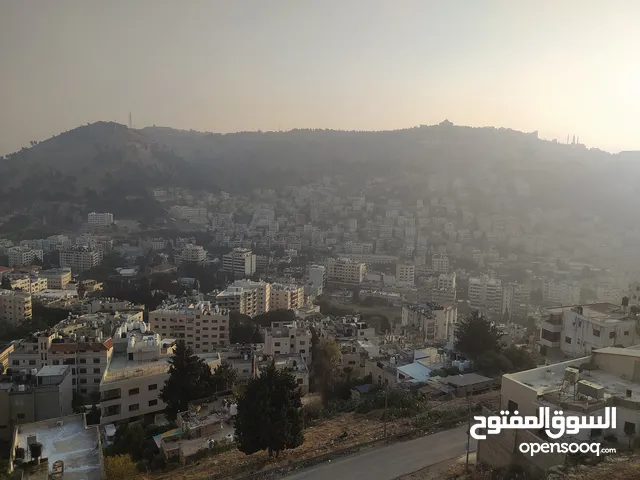 شقه مشطبه 30% ( مقصوره )