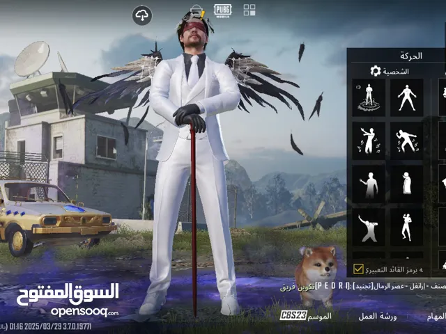 Pubg Accounts and Characters for Sale in Babylon