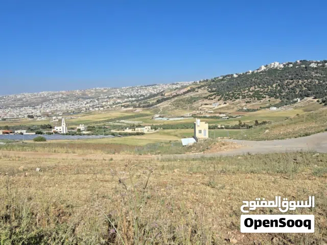 قطعة ارض استثمارية  في السلط خلف مجمع العوايشة