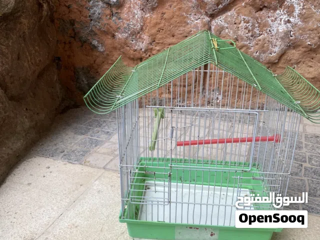 أقفاص طيور