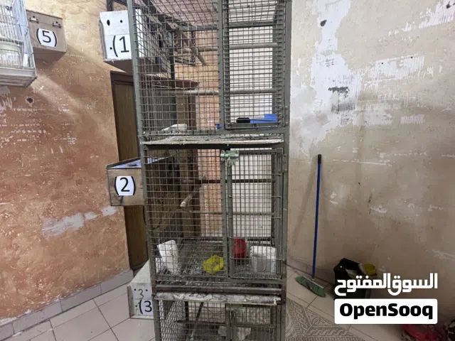 خانات حديد اقرا الوصف