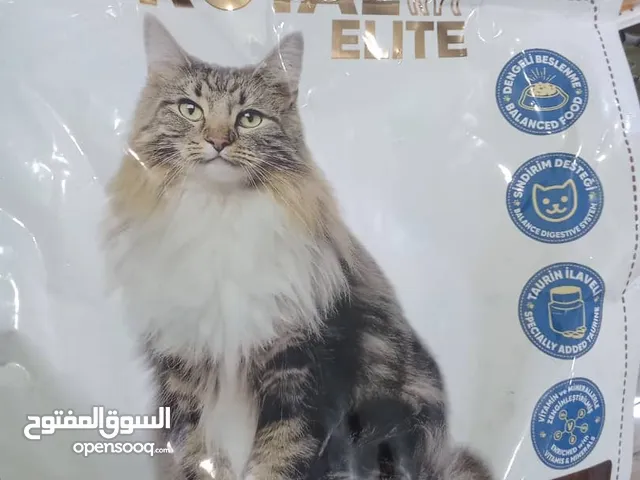 أكل و مستلزمات قطط