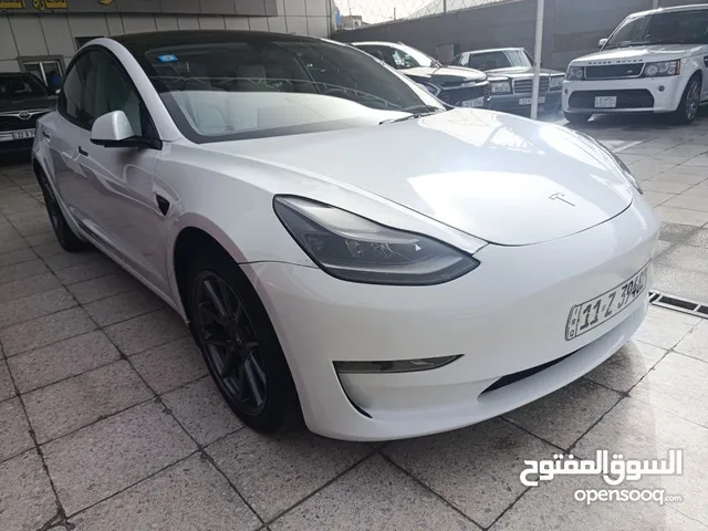 تيسلا 2023 موديل 3 البنيد و جاملغ