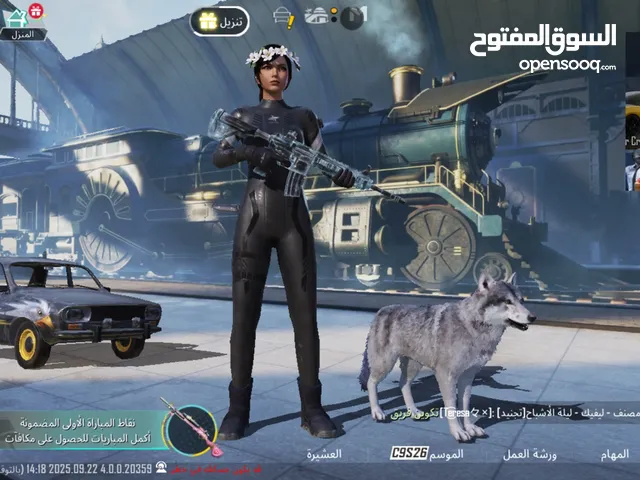 Pubg Accounts and Characters for Sale in Ramallah and Al-Bireh