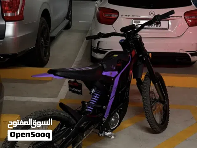 Falcon Pro 79bike E bike