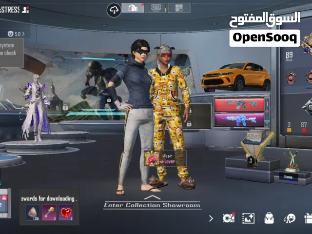 Pubg Accounts and Characters for Sale in Ramtha