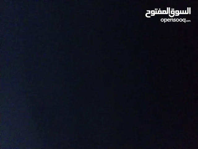 مطلوب كلب هاسكي جرو ب50