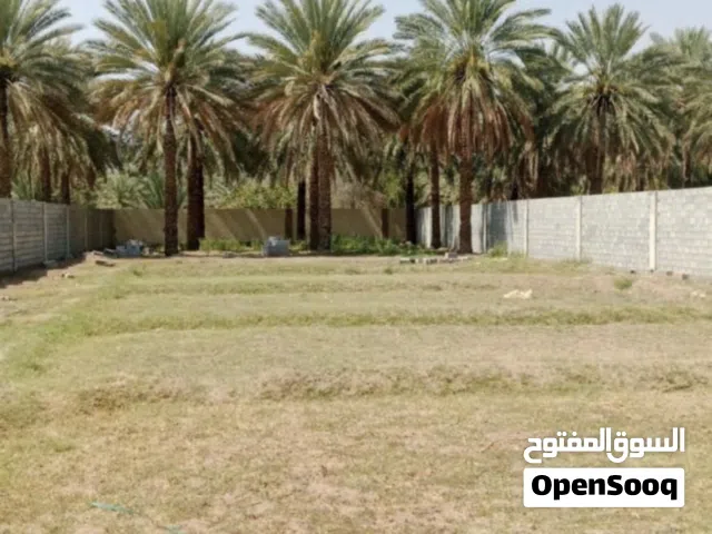 Mixed Use Land for Rent in Al Dakhiliya Nizwa