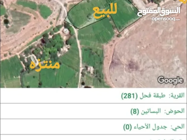 Farm Land for Sale in Irbid Tabaqet Fahel