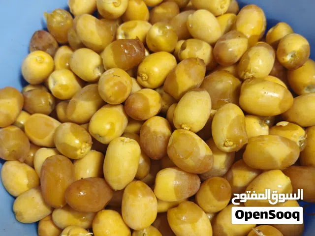رطب بوشر خلاص وخنيزي ولزاد جديد