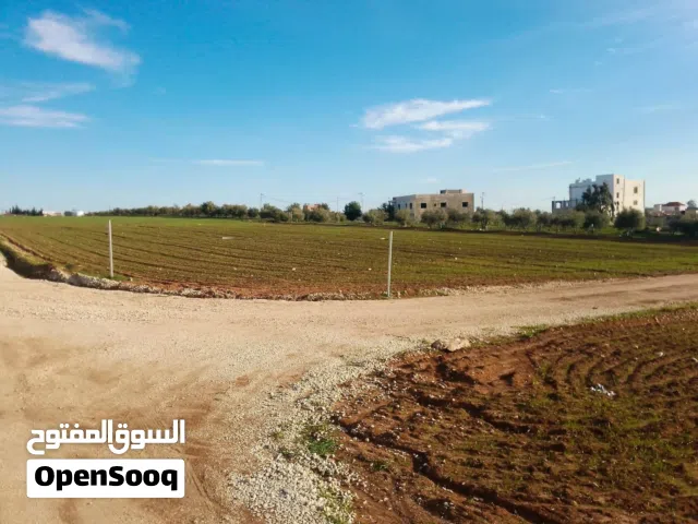 مادبا الفيصلية القويجية 3400م بسعر 85 الف بمنطقة ذات إطلالة عالية على الضفة الغربية والاغوار
