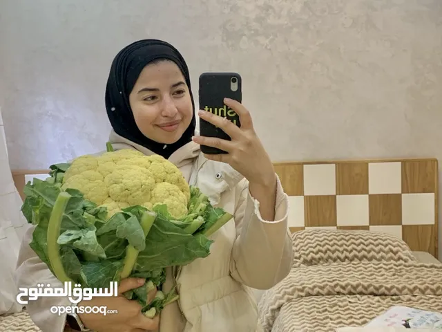 ناريمان عويسي
