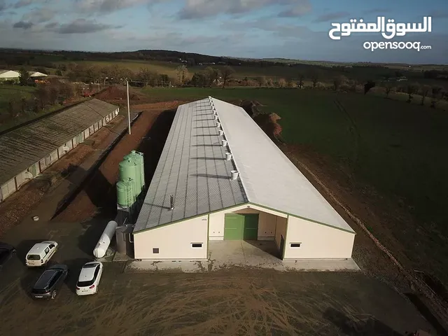 fabrication charpente métallique et génie civil hangar élevage