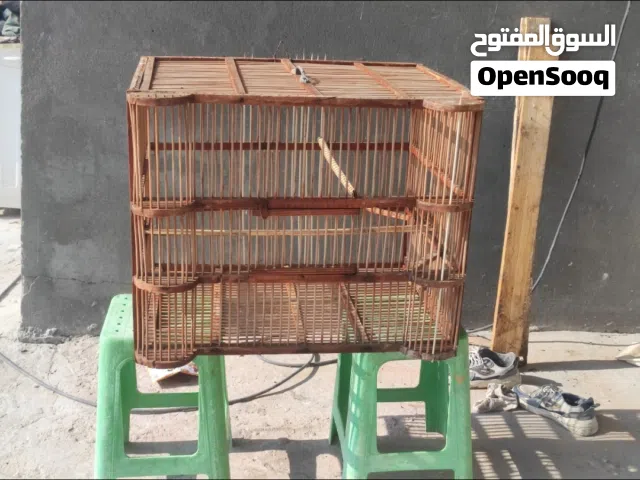 قفص مال بلبل للبيع