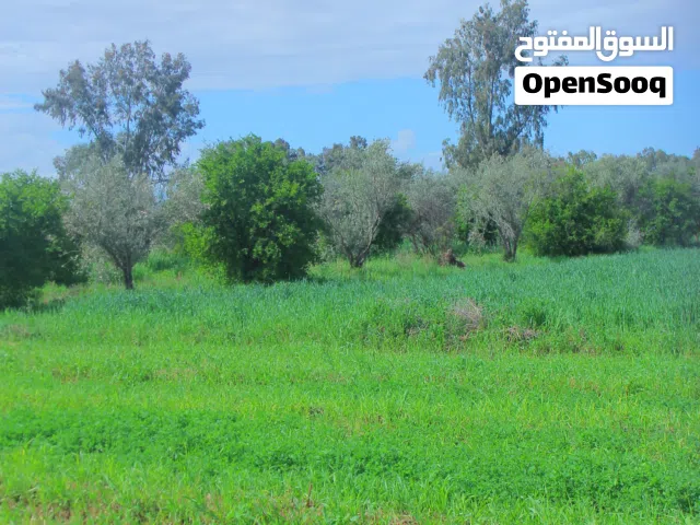 Mixed Use Land for Sale in Marrakesh M'Hamid