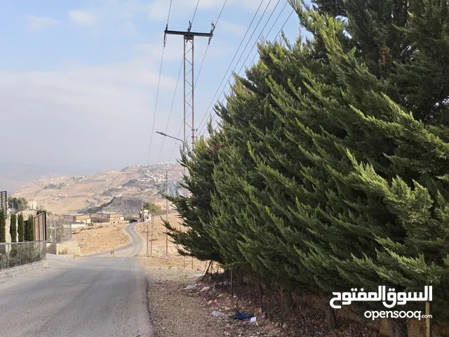 خمسة دنمات دخلة مطعم خيل وليل اكثر من قطعة