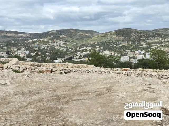 Mixed Use Land for Sale in Tulkarm Kafr AlLabad