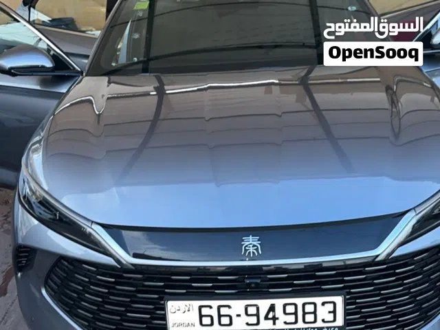 2024 بي واي دي كين