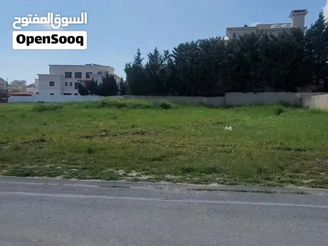 الظهير ارض