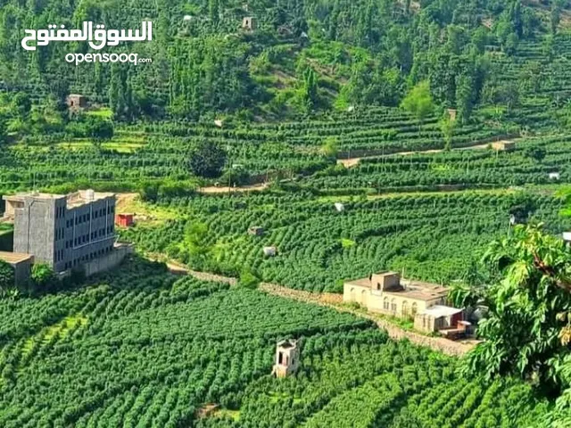 مناضر وصور منتجات رقميه