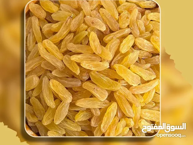 Iranian kashmar golden raisins / bulk sale for companies