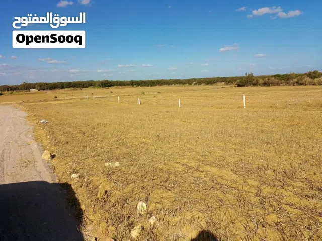 موقع استثنائي بأزمور – قليبية بسعر لا يُنافس!