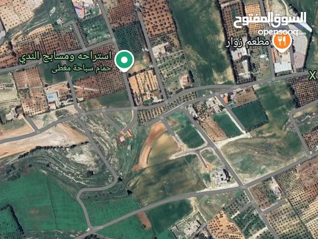 Farm Land for Sale in Amman Airport Road - Manaseer Gs