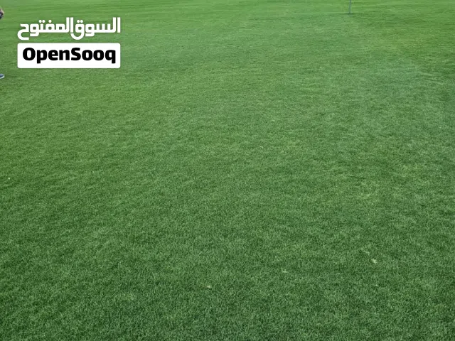 معشب بلس بيلم امريكي