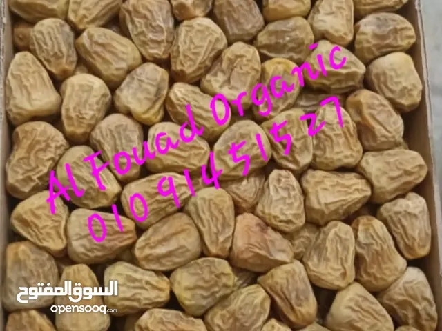 سكرى مفتل سعودى كرسبى بريميوم