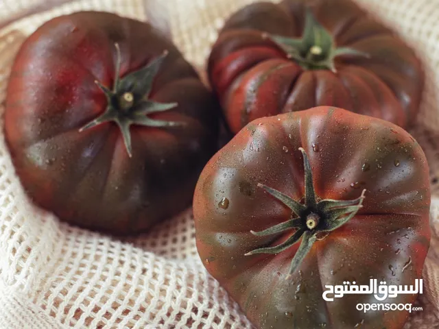 بذور طماطم أصلية ( غير هجينة و محسنة و معدلة وراثياً ) قابلة للأعادة الاكثار