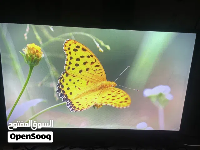 شاشة ازارا 32 للبيع
